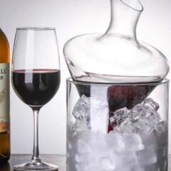 Wine Decanter with Ice Bucket